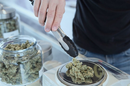 Cannabis Business Audit