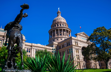 Riding a Horse to the Left of Texas State Capital building on a nice clear blue sky day with Sunlight hitting the Front of the capitol fresh green plants in the foreground with Government