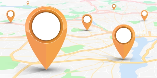 GPS navigator pin