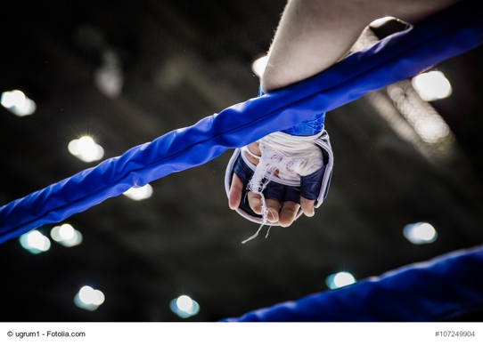 boxer in ring.jpg